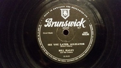 BILL HALEY &amp; COMETS - SEE YOU LATER, ALLIGATOR