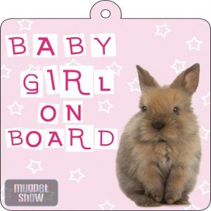 Zawieszka do samochodu Baby Girl On Board