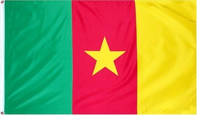 Flaga Kamerunu- 150 x 90, poliester.