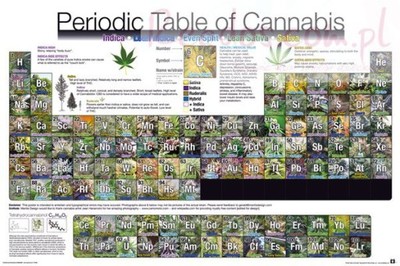 Uklad Okresowy Marihuany - plakat