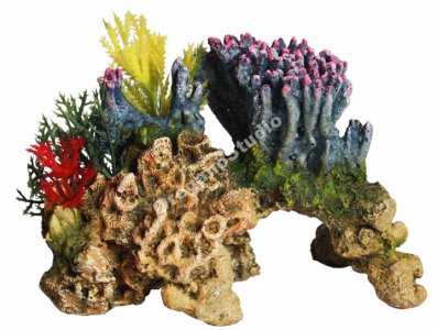 KORALOWCE rafa koralowa ozdoba do akwarium 15,5cm - 6372438614 - oficjalne  archiwum Allegro