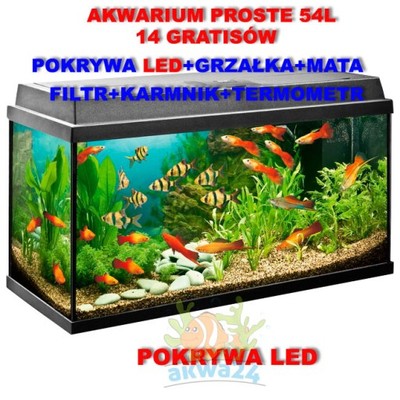 AKWARIUM 45L 50x30x30cm POKRYWA LED+14 gratisów - 6647793920 - oficjalne  archiwum Allegro
