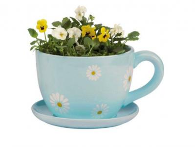 Ceramiczny Kwietnik I Spodek!! Daisy Tea Cup!!