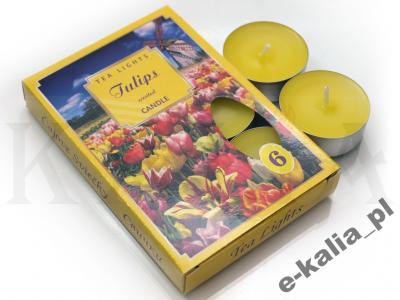 E-KALIA tea-lighty podgrzewacze 6szt TULIPANY