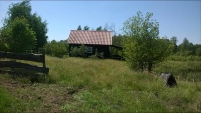 Działka z małym domkiem oraz stawem w Bużyskach