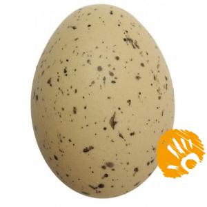 Jajko plastikowe przepiórcze 6 cm do stroików