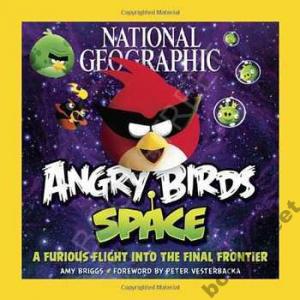 NG ANGRY BIRDS SPACE