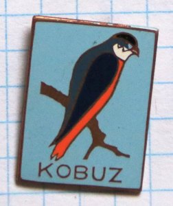 Odznak Przyroda - Ptaki - Kobuz