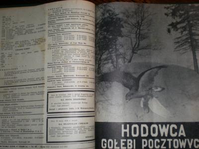 Miesięczniki HODOWCA GOŁĘBI POCZTOWYCH 1950-97
