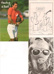 3 zabawne pocztówki: Krakus, prosię i książę Karol