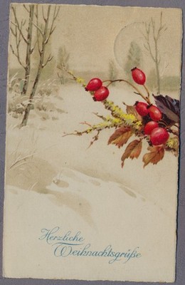 Pejzarz Zimowy  1930r.  g888