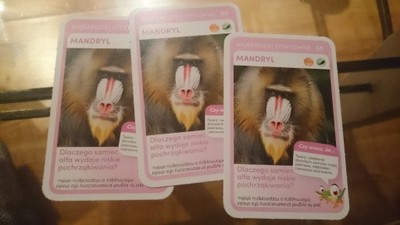 Mandryl karta 98 z biedronki zwierzęta