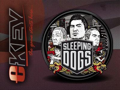 SLEEPING DOGS - STEAM - AUTOMAT 24/7