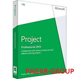 PROJECT 2013 PROFESSIONAL PL (H30-03729) FV