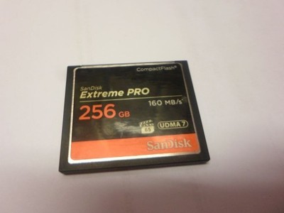 KARTA PAMIĘCI SANDISK EXTREME PRO 256GB 160 MB/S