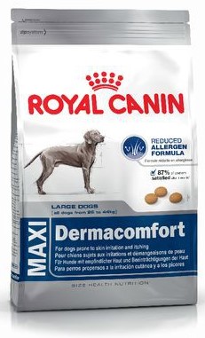 Royal Canin Maxi Dermacomfort 12kg +Gratis+Dostawa