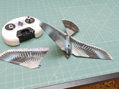 Bioniczny ptak AVITRON V2.0 zdalnie sterowany - 6059664986 - oficjalne  archiwum Allegro