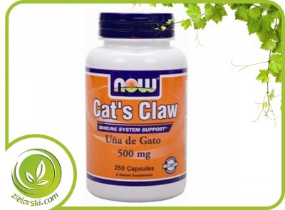 Cat's Claw 500 mg - Koci Pazur 250 kap.