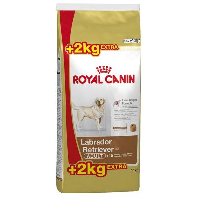 ROYAL CANIN Labrador Retriever Junior 12kg+2kg+GRA