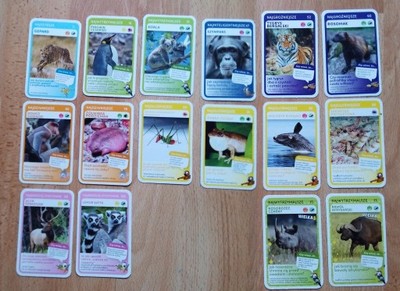 Karty Super zwierzaki Biedronka 24 szt (2 wielkie)