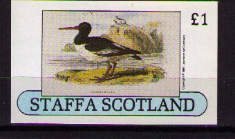 Szkocja-Staffa`1981.- wyd.prywatne, ptak**