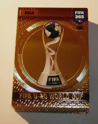 PANINI 365/17 - 010 - FIFA U-20 WORLD CUP