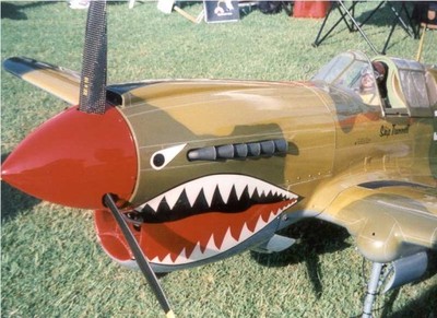 P-40 CURTIS ZIROLLI PLANS roz239cm