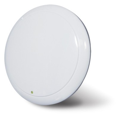 Access Point Planet C3220
